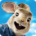 �ȵ��ñ��������ƽ��