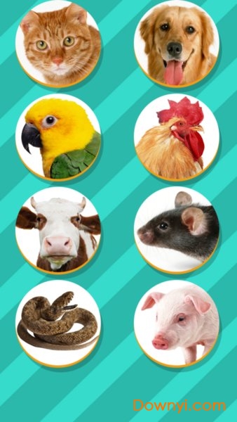 猫狗翻译器中文版(pet translator)