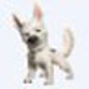 �Ա�����Ƶ�ɼ�����