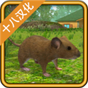 ����ģ���������ƽ��