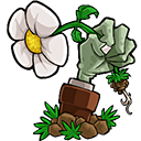 ֲ���ս��ʬe��֧���ֻ���