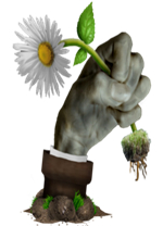 植物大战僵尸冰火版电脑版