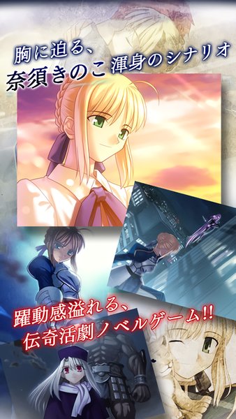 Fate Stay Night(����֮ҹ)