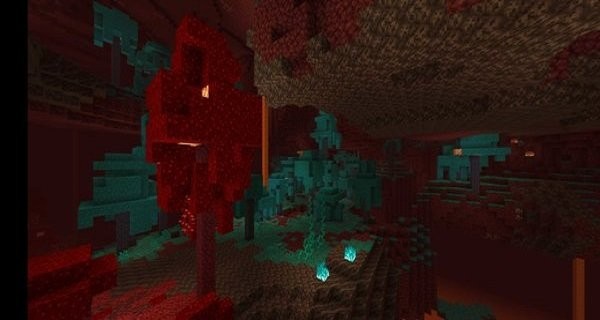 �ҵ������������Ϸ