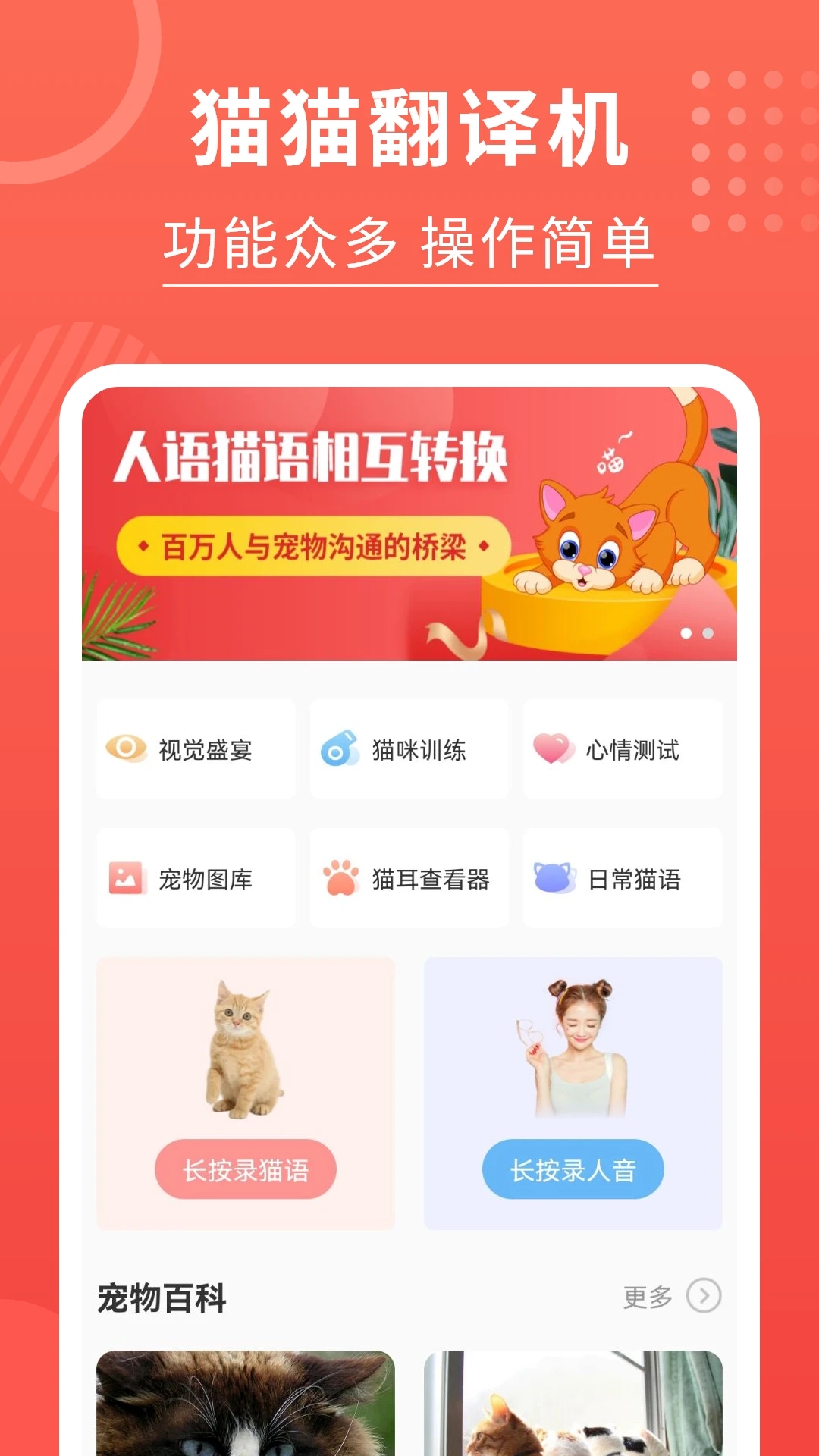 猫猫语言翻译器