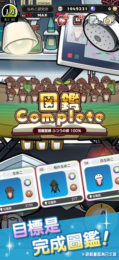 ���������о������İ�