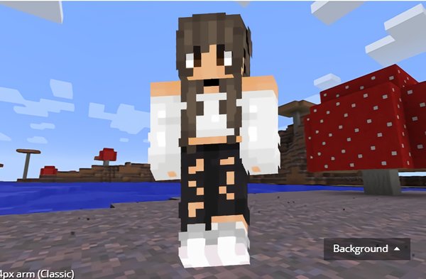 novaskin官方版 novaskin汉化版下载