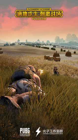 绝地求生刺激战场 绝地求生刺激战场