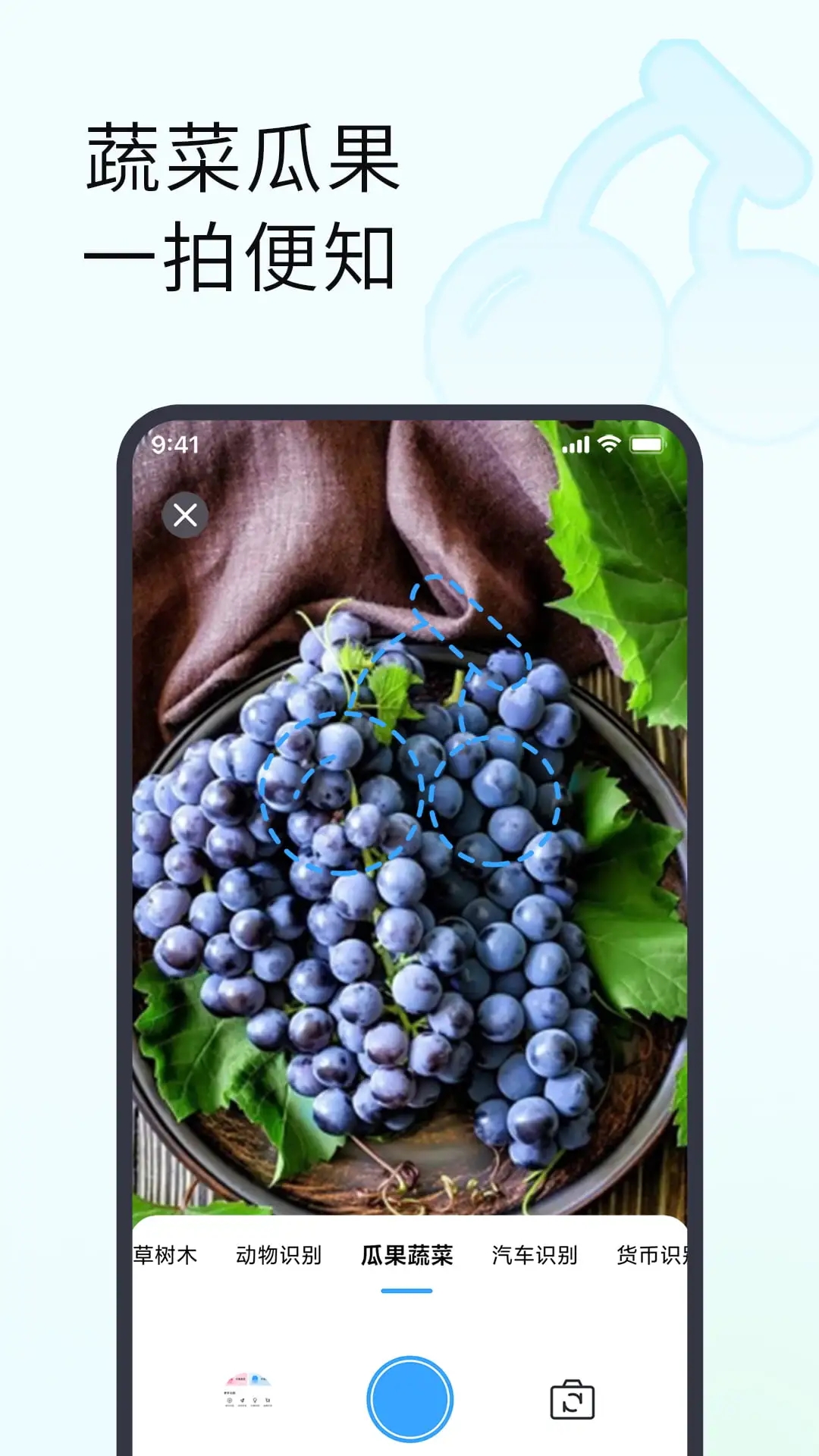 拍照识别植物APP