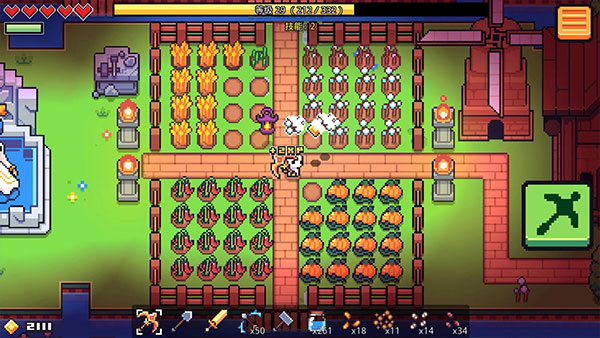 ��������2024���°�