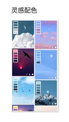 观色配色2024最新版