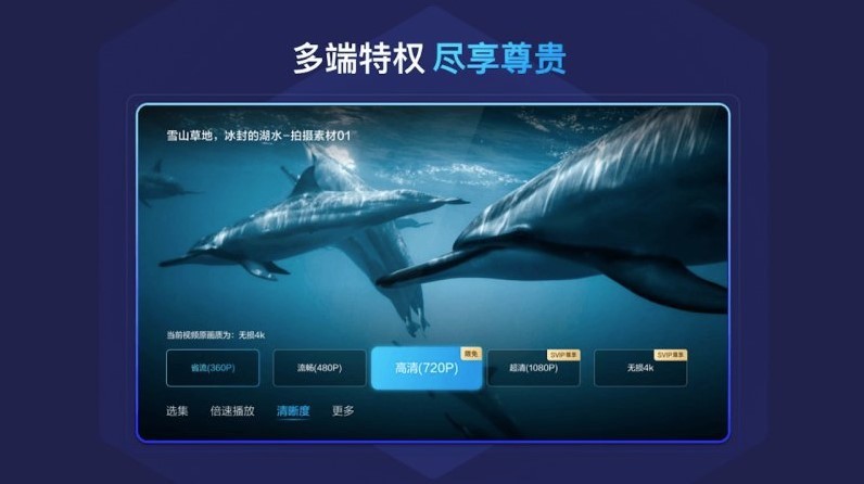 百度网盘tv版 百度网盘电视版