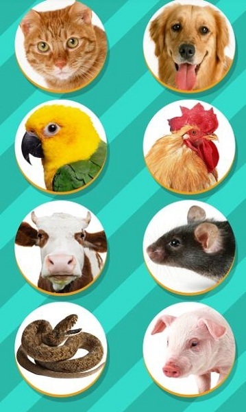 仓鼠语言翻译器