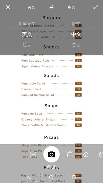 智慧视觉APP(AI Lens)