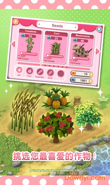 Hello Kitty���뻨԰���°�