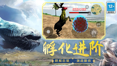 ɽ�����ɽ���ȥ���