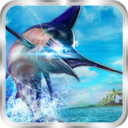 ���������İ�