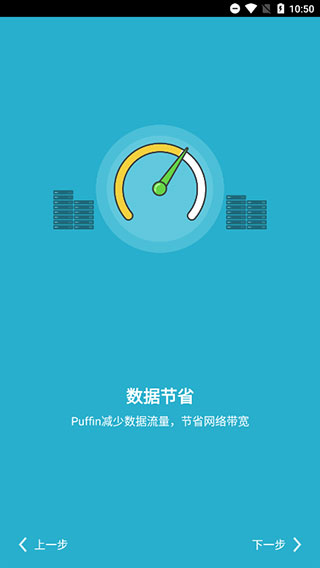 puffin浏览器国际版2024最新版