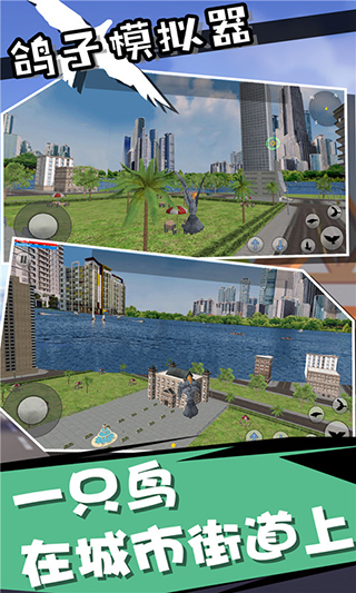 鸽子模拟器2024最新版本