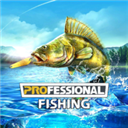 ������������ƽ��