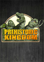 ʷǰ���������ⰲװ��