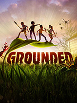 ��������(Grounded)�����ⰲװ��