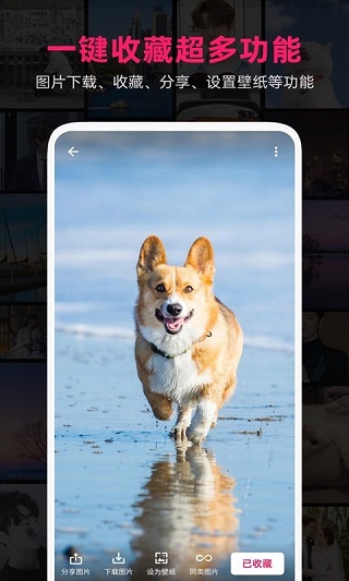 图片搜搜app2024最新版