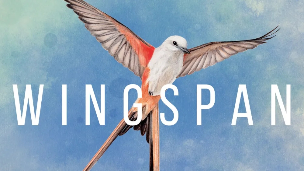 չ�᰿�����İ�