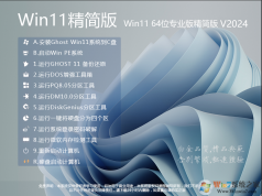 Win11|Win11 64λרҵ澫 v2024