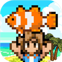 �����������İ�