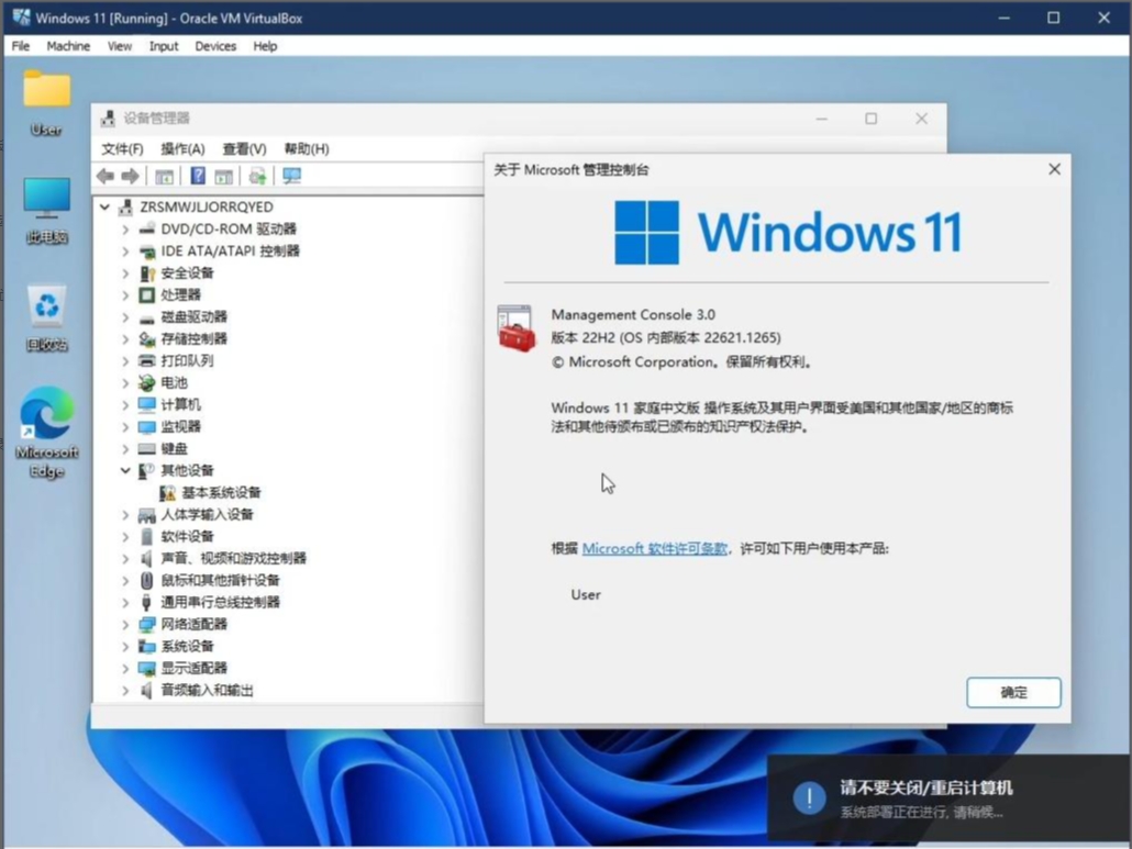 Windows 11 (�й����ư�)