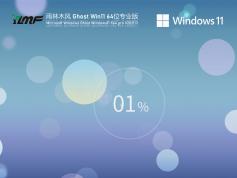 ľ Win11 64λȫϵͳ|GHOST WIN11 64λרҵ洿ϵͳ