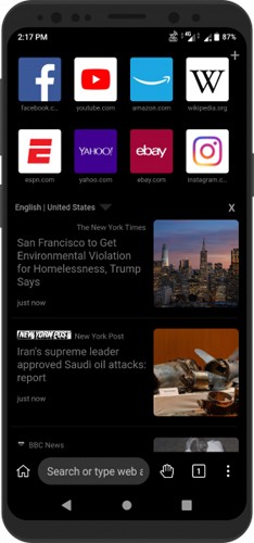 KiwiBrowser�ٷ���
