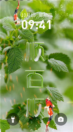 快闪壁纸高清版