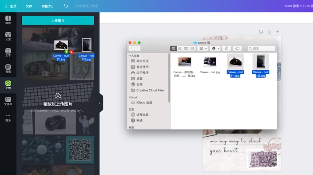 Canva���ɻ���2024���°�