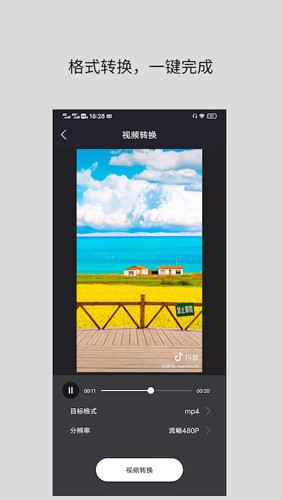 ������Ƶ��ʽת�����ٷ���