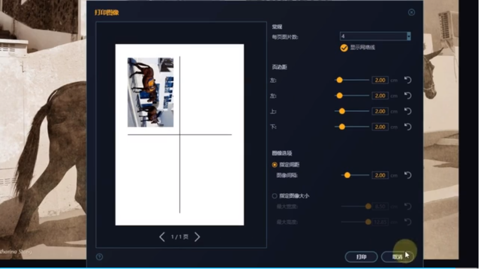 Ashampoo Photo OptimizerͼƬ�Ż��������°�