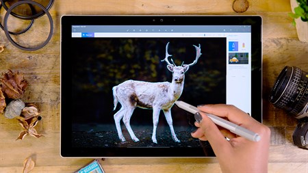 ��ͼ3D���԰�