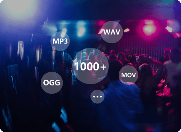 ������Ƶ��������