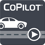 copilot(AI)