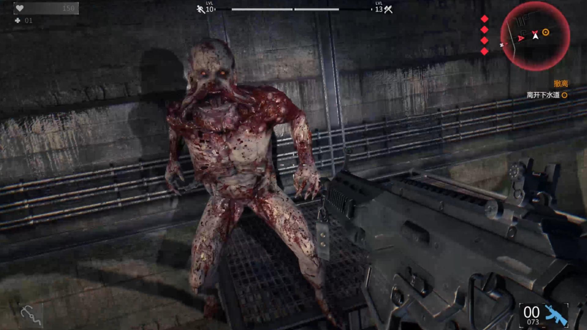 ���ŵĹ�â��ʮ�����޸���