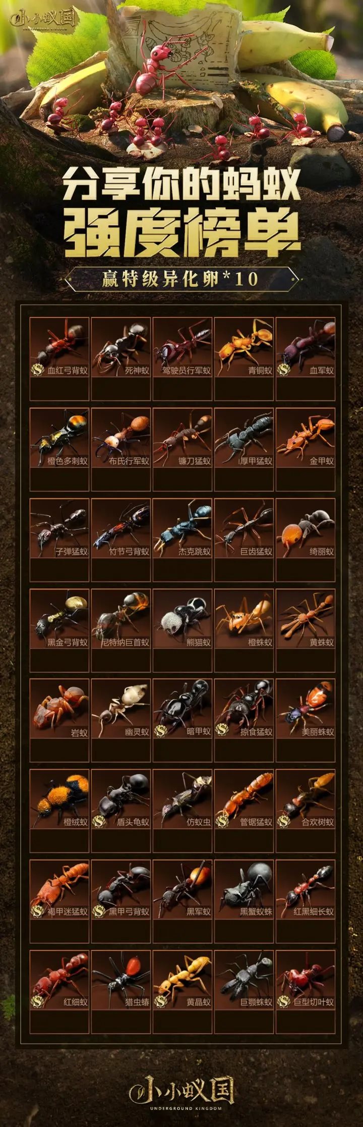 小小蚁国(附兑换码+教程)