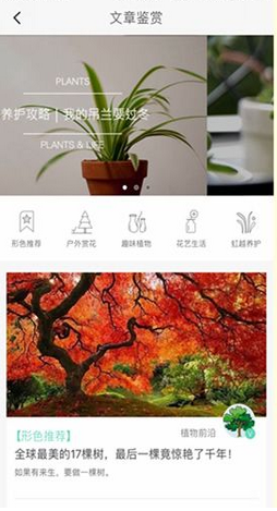 �����°�׿��