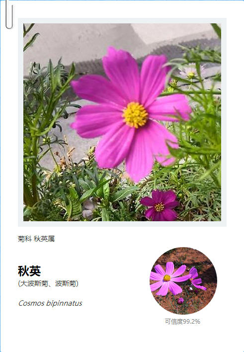 �����°�׿��