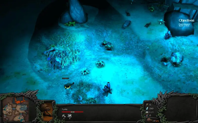 蜂巢五项修改器