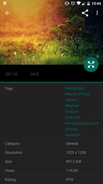 wallhaven��Ѱ�