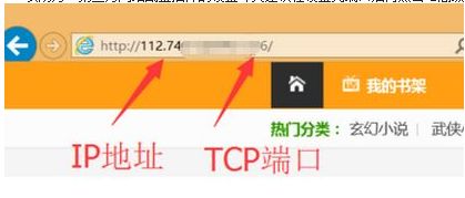 输入ip地址无法访问(3)